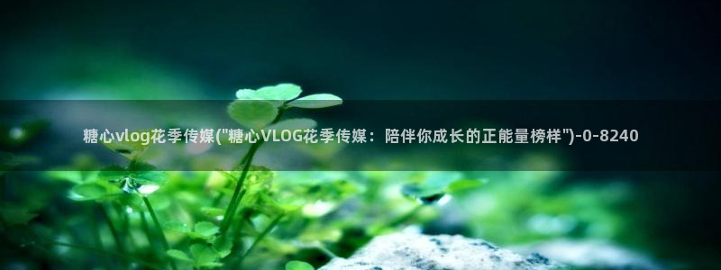 糖心vlogo网站
