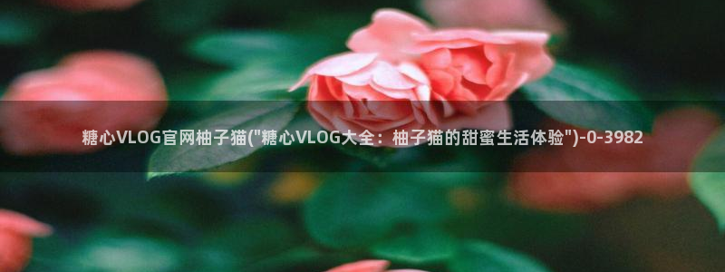 心糖vlo