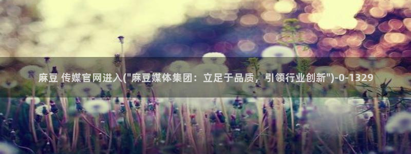 麻豆传媒官网作品：麻豆 传媒官网进入(\