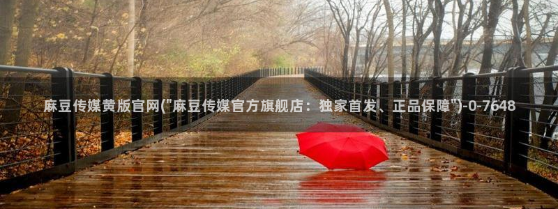 91麻豆传媒官网：麻豆传媒黄版官网(\