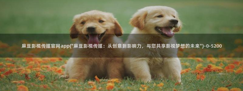 麻豆啊传媒app官网黄：麻豆影视传媒官网app(\