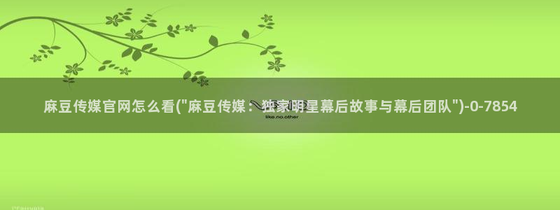 麻豆传媒官网mod：麻豆传媒官网怎么看(\