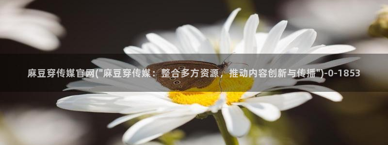 麻豆传媒官网怎么找到：麻豆穿传媒官网(\