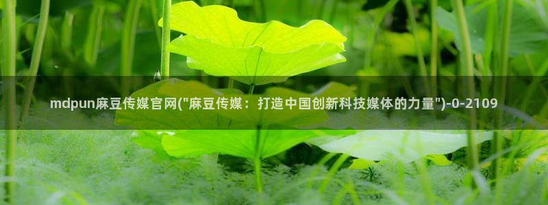 麻豆传媒官网综合：mdpun麻豆传媒官网(\