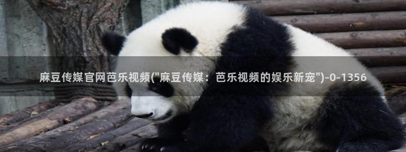 麻豆传媒眏放官网：麻豆传媒官网芭乐视频(\