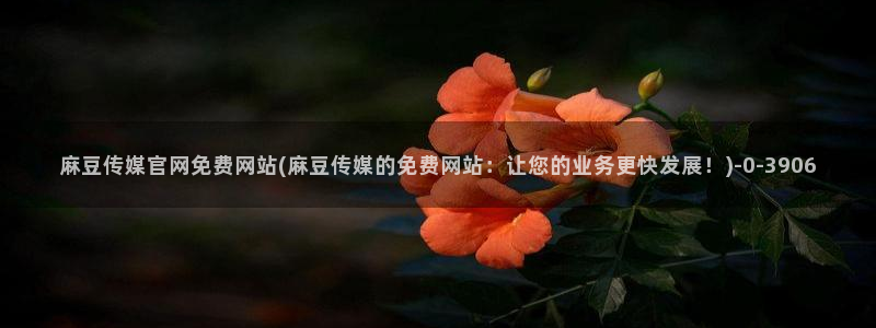 麻豆床传媒官网2021：麻豆传媒官网免费网站(麻豆传媒的免费网站：让您的业务更快发展！)