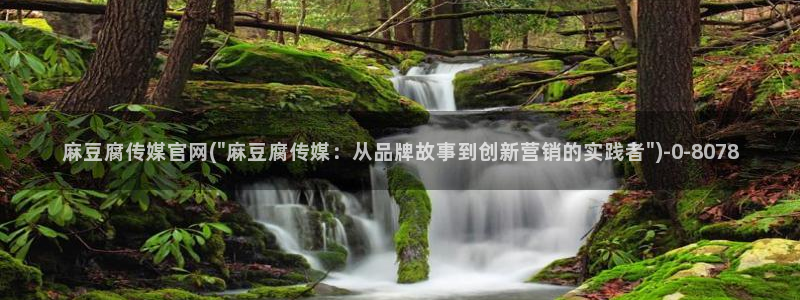 麻豆 传媒官网进入：麻豆腐传媒官网(\