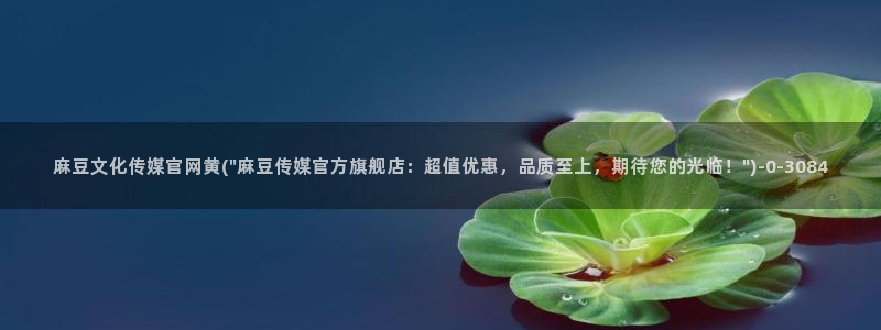 麻豆传媒官网 视频：麻豆文化传媒官网黄(\