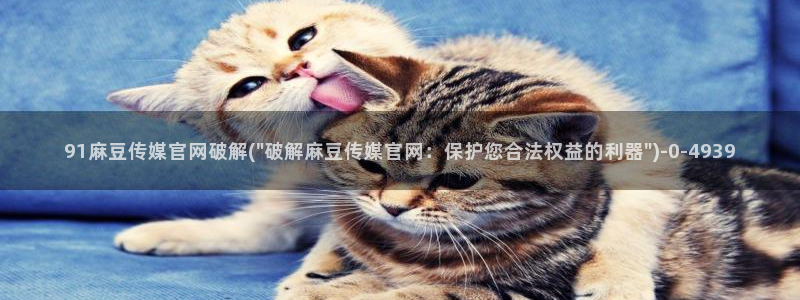 麻豆传媒官网合作app：91麻豆传媒官网破解(\
