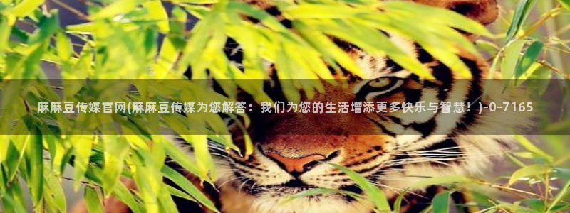 麻豆影视传媒官方官网：麻麻豆传媒官网(麻麻豆传媒为您解答：我们为您的生活增添更多快乐与智慧！)
