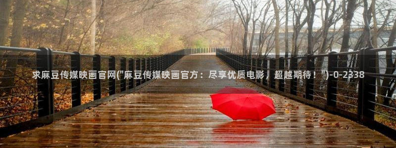 麻豆印象传媒官网：求麻豆传媒映画官网(\