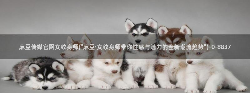 麻豆画精品传媒官网