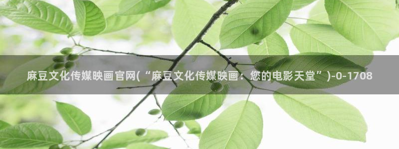 麻豆传媒直播官网破解版