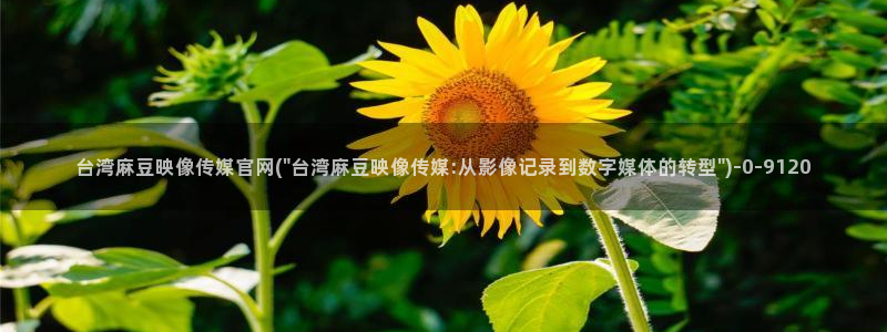 麻豆传媒官网还在吗