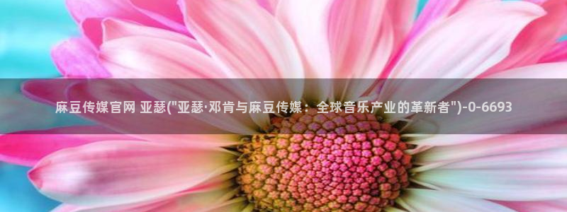 麻豆swag传媒官网