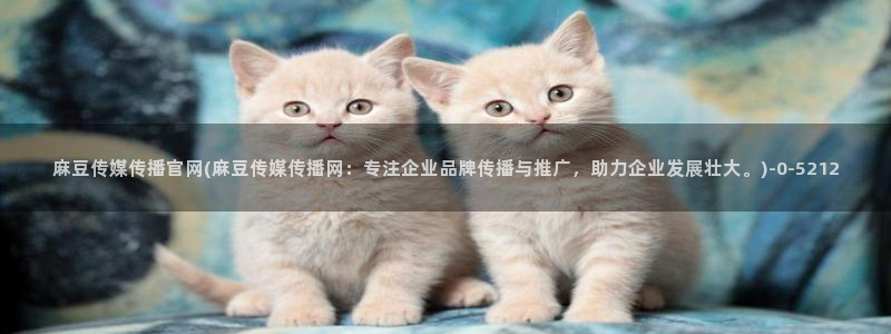 麻豆有限传媒app官网：麻豆传媒传播官网(麻豆传媒传播网：专注企业品牌传播与推广，助力企业发展壮大。)