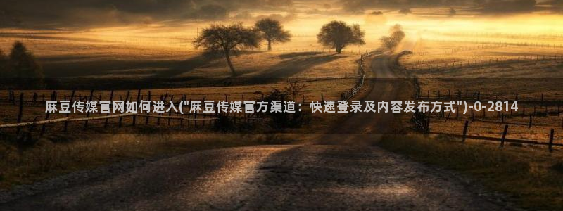麻豆视传媒官网污