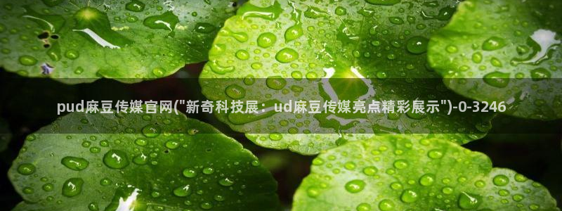 麻豆娱乐文化传媒官网